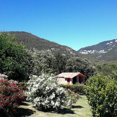 Can Pedragos Sales de Llierca المظهر الخارجي الصورة