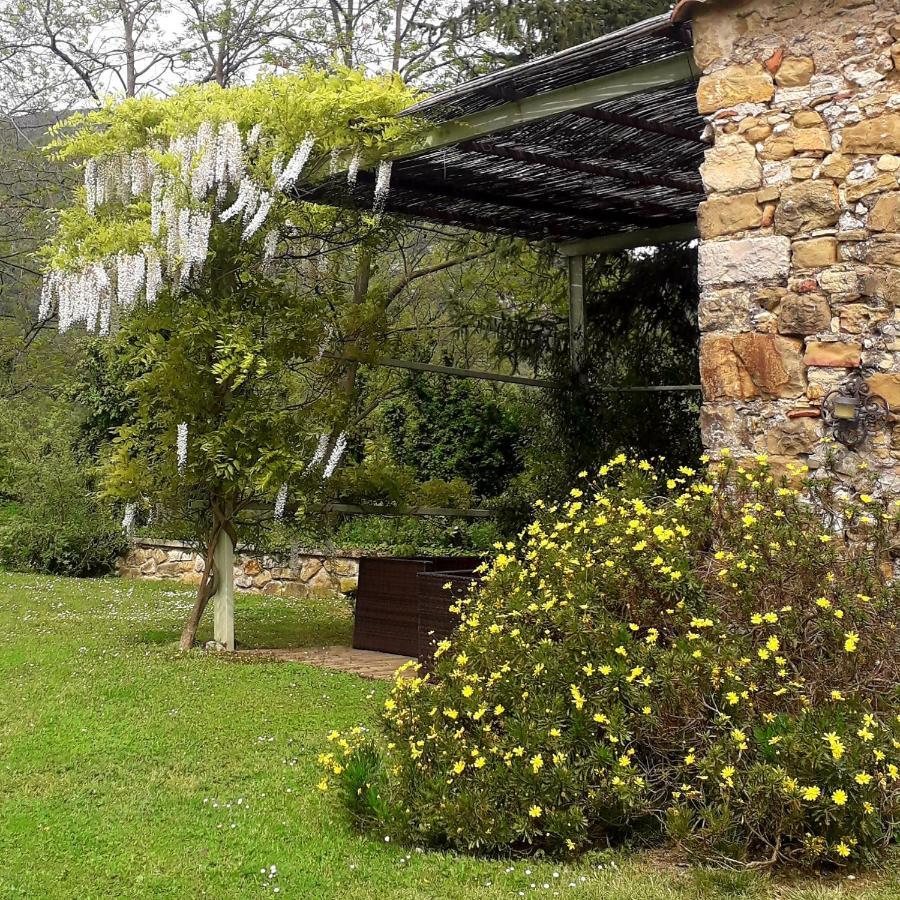 Can Pedragos Sales de Llierca المظهر الخارجي الصورة